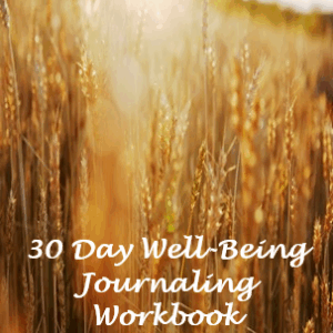 30 Day Mental Well-Being ournal